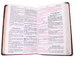 BIBLIA LETRA GRANDE CON PASTA COLOR MARRON Y ROJO RVR065cLGPJR en internet
