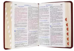 BIBLIA VINO PLACA 3 TINTAS RVR045cLGTI en internet