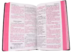 Biblia Reina Valera 1960 Mediana Letra Grande Vinil Negro [RVR062cLGPJR] - comprar en línea