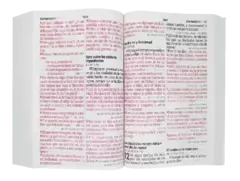 BIBLIA PIEDRA LETRA 800 #19 - comprar en línea