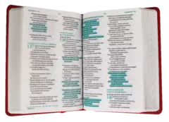 Biblia Fuente de Bendiciones Reina Valera 1960 Chica Letra Mediana Imitación Piel Roja [RVR045cLMFB] - comprar en línea