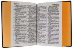 BIBLIA VINIL VINO RVR042C - comprar en línea