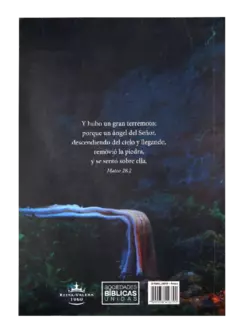 BIBLIA PIEDRA LETRA 800 #19 - Distribuidores Cristianos