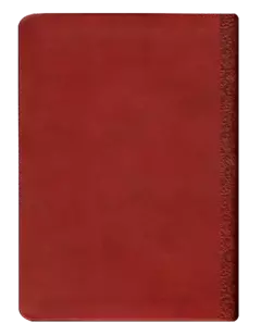 Biblia Fuente de Bendiciones Reina Valera 1960 Chica Letra Mediana Imitación Piel Roja [RVR045cLMFB] - tienda en línea
