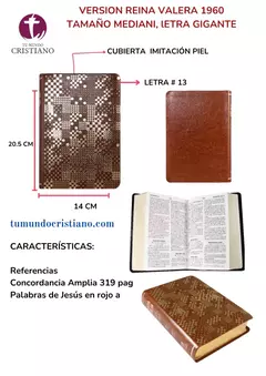 Biblia Reina Valera 1960 Mediana Letra Gigante Imitación Piel Negro [RVR065CLGIPJREQ] -