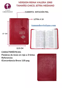 Biblia Reina Valera 1960 Chica Letra Mediana Imitación Piel Rosa [RVR045cLGPJRMDM]