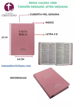 Biblia Reina Valera 1909 letra mediana, Grande Rosa [VR085LM]