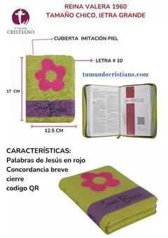 Biblia Reina Valera 1960 Chica Letra Mediana Imitación Piel Verde QR [RVR045cZLGPJR