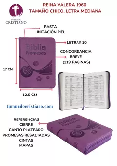 Biblia Promesas Reina Valera 1960 Chica Letra Mediana Imitación Piel Lila [RVR045cZ] en internet