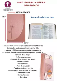 B. RV1960 PROMESAS INSPIRA ROSA PE 13 PUNTOS EUN2328 (SUJETO A DISPONIBILIDAD) DA
