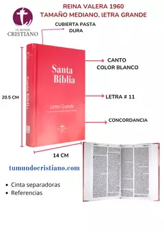 Biblia Reina Valera 1960 Mediana Letra Grande Tapa Dura Rosa [RVR063cPJR]