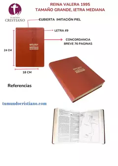 Biblia de Estudio Exégesis Reina Valera 1995 Grande Letra Mediana Imitación Piel Miel [RVR95086EEcLM]