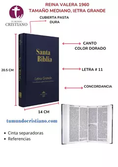 Biblia Reina Valera 1960 Mediana Letra Grande Tapa Dura Azul [RVR063cPJR]