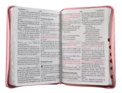 Biblia Reina Valera 1960 Grande Letra Supergigante Imitación Piel Rosa Fucsia [RVR086cLSGiTIPJR] en internet