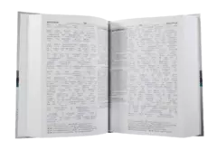 Nuevo Testamento Interlineal Grande Letra Chica Tapa Dura [NT283DI] en internet