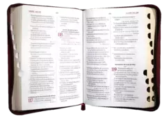 Biblia Reina Valera 1960 Mediana Letra Grande Imitación Piel Vino Tinto Código QR [RVR055cZTILGaPJR] en internet
