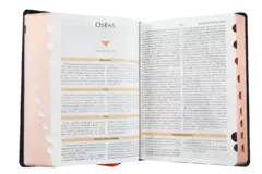 BIBLIA DE ESTUDIO TEOLOGICO TAPA DURA RVR083cLGEETI-BET en internet