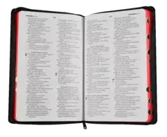 BIBLIA CON CONCORDANCIA BREVE NEGRO RVR065ecZTI en internet