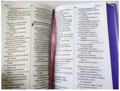 BIBLIA LETRA GRANDE LILA RVR065cLGPJR en internet