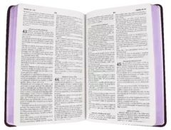 BIBLIA MEDIANA LILA RVR065ec - comprar en línea