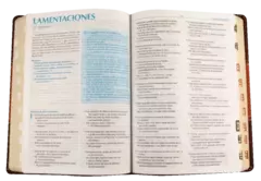 Biblia de Estudio Predicación Reina Valera 1960 Grande Letra Grande Imitación Piel Marrón [RVR086LGEETI - comprar en línea