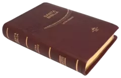 BIBLIA MEDIANA IMITACION VINO RVR065CLG en internet