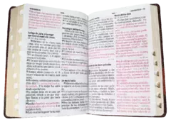 BIBLIA LETRA SUPER GIGANTE 19 PUNTOS CON ZIPER TAPA MARRON RVR086cLSGiTIPJR en internet