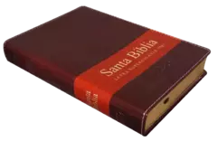 BIBLIA LETRA SUPER GIGANTE 19 PUNTOS CON ZIPER TAPA MARRON RVR086cLSGiTIPJR - Distribuidores Cristianos