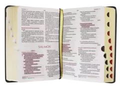 Biblia Fuente de Bendiciones Reina Valera 1960 bolsillo Letra Mediana Vinil Negro [RVR042cLMFBTI] - comprar en línea