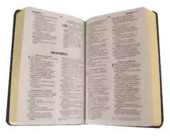 BIBLIA NEGRO RVR066ec - comprar en línea
