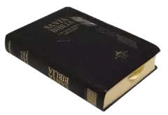 Biblia Fuente de Bendiciones Reina Valera 1960 bolsillo Letra Mediana Vinil Negro [RVR042cLMFBTI] en internet