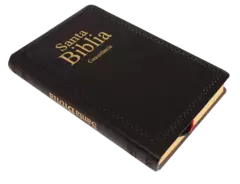 BIBLIA NEGRO RVR066ec en internet