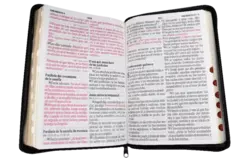 BIBLIA LETRA SUPER GIGANTE 19 PUNTOS CON ZIPER TAPA NEGRA RVR085cLSGiPJRZTI en internet
