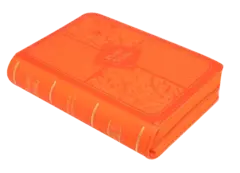 Biblia Reina Valera 1960 Tamaño Bolsillo Letra Mediana Imitación Piel Naranja [RVR025cZLG] - Distribuidores Cristianos