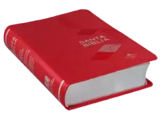 Biblia Reina Valera 1960 Chica Letra Mediana Imitación Piel Rosa [RVR045cLGPJRMDM] - Distribuidores Cristianos