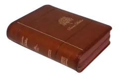 Biblia Reina Valera 1960 Tamaño Bolsillo Letra Mediana Imitación Piel Café [RVR025cZLG] - Distribuidores Cristianos
