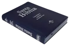 Biblia Reina Valera 1960 Grande Letra Gigante Vinil Azul [RVR082cLGIPJR] en internet