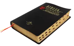 Biblia de Estudio Predicación Reina Valera 1960 Grande Letra Grande Imitación Piel Negro [RVR086cLGEETI-PEN] - Distribuidores Cristianos