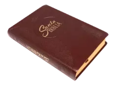 Biblia Reina Valera 1960 Mediana Letra Grande Imitación Piel Café [RVR065cLGPJR] - Distribuidores Cristianos