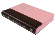 Biblia Reina Valera 1960 Mediana, Letra 13 puntos Gigante Imitación Piel Rosa Marrón [RVR066cLSGiPJRZTI] - Distribuidores Cristianos