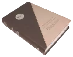 Biblia de Estudio Reina Valera Contemporánea Grande Letra Mediana Imitación Piel Gris/Negro [RVC086EEC] - Distribuidores Cristianos