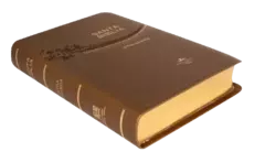 Biblia Reina Valera 1960 Mediana Letra Grande Imitación Piel Café Oro [RVR065CLG] en internet