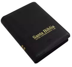 Biblia Reina Valera 1960 bolsillo Letra Grande Imitación Piel Negro [RVR046cLSGiPJRTI ] en internet