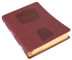 Biblia Reina Valera 1960 Grande, Letra Gigante Imitación Piel Vino Código QR [RVR086cLGiPJR] - Distribuidores Cristianos