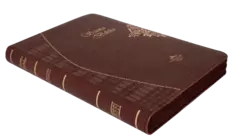 Biblia Reina Valera 1960 Mediana Letra Grande Imitación Piel Vino [RVR065cZTI] en internet