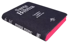 BIBLIA CIERRE ROSA LETRA GIGANTE CON INDICE RVR084CLGIPJRZTIA en internet