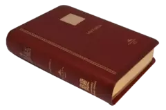 BIBLIA VINO PLACA 3 TINTAS RVR045cLGTI - Distribuidores Cristianos
