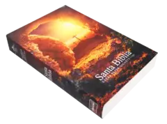 BIBLIA PIEDRA LETRA 800 #19 en internet
