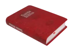 Biblia Fuente de Bendiciones Reina Valera 1960 Chica Letra Mediana Imitación Piel Roja [RVR045cLMFB] en internet