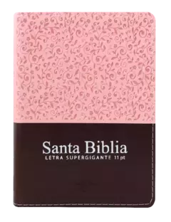 Biblia Reina Valera 1960 bolsillo Letra Grande 11 puntos Imitación Piel Rosa Marrón [RVR046cLSGiPJRTI] - comprar en línea